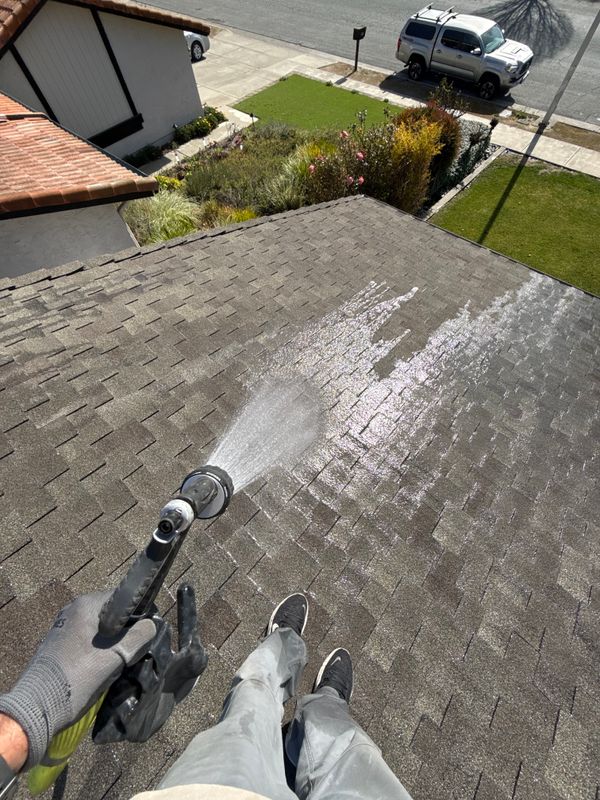Moss Removal 