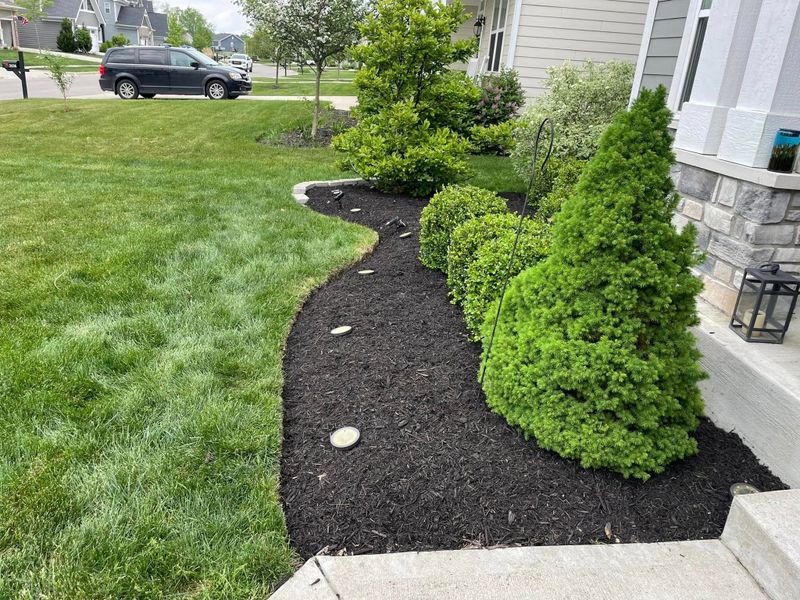 Tree & Shrub Care