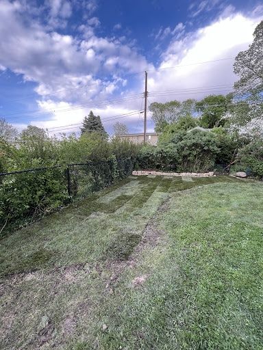 Lawn Maintenance