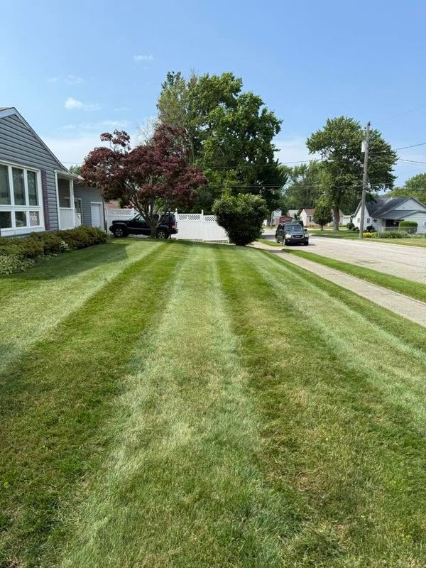 Lawn Maintenance