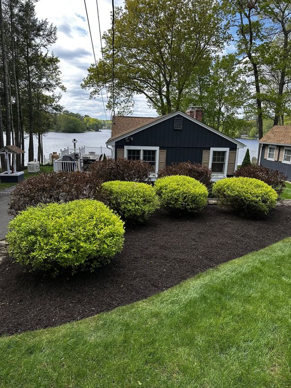 Landscape Design