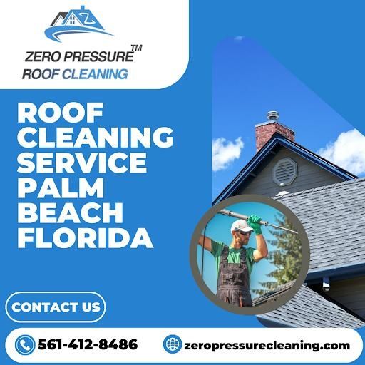 Roof Cleaning