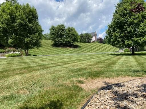 Lawn Mowing