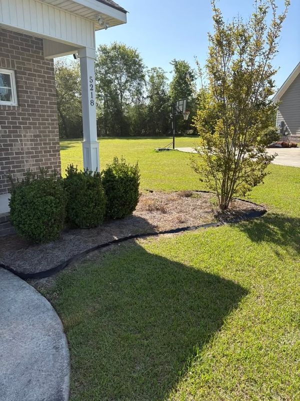 Tree & Shrub Care