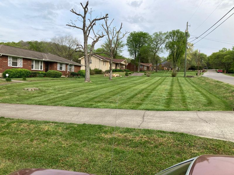 Mowing