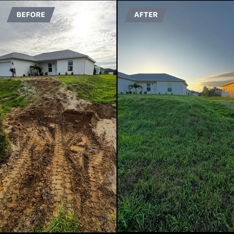 Transform Your Lawn: A BH Lawn & Landscape Success Story