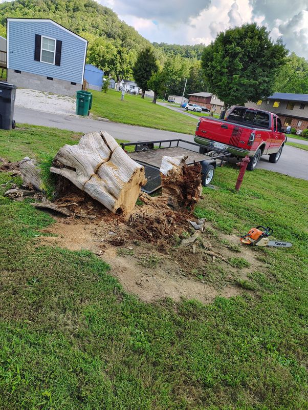 Tree Services
