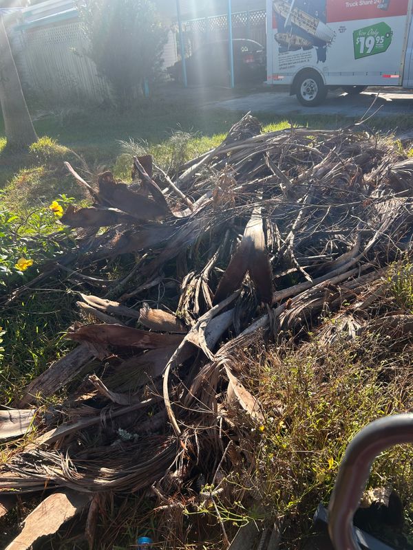 Efficient and Eco-Friendly Junk Removal Services