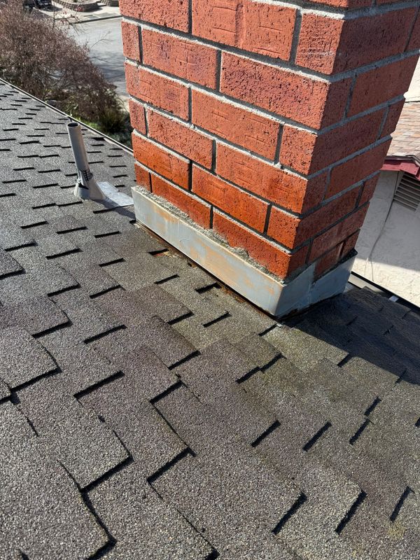 Moss Removal 