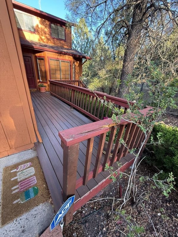 Deck and Fence Staining