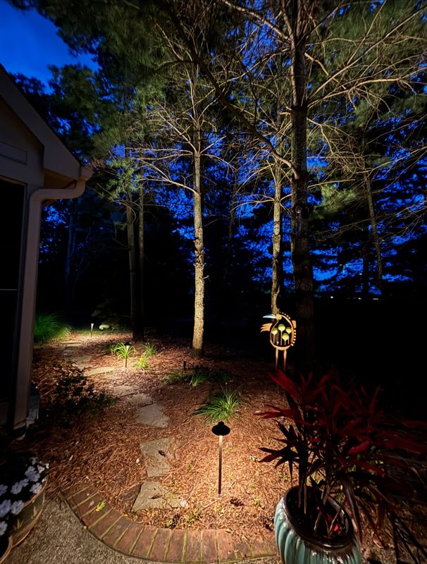 Lighting Installs