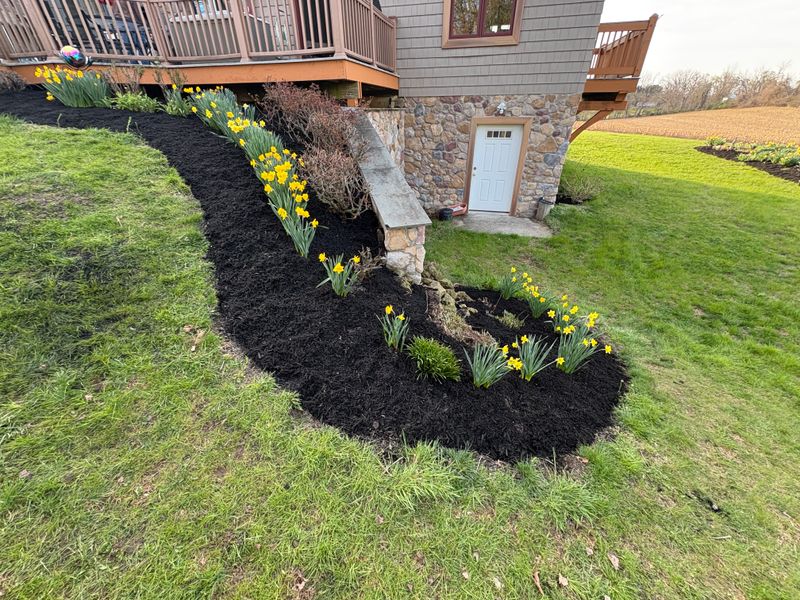 Landscaping