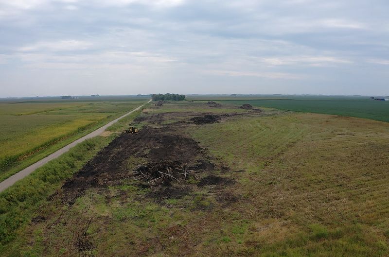 Massive Tree Removal on Farmland