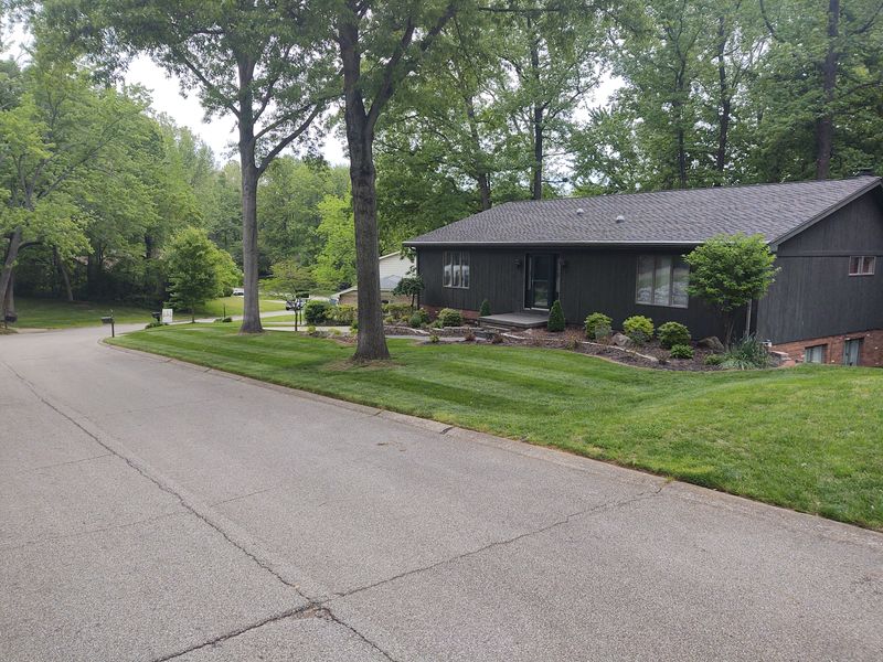 Lawn Maintenance Service