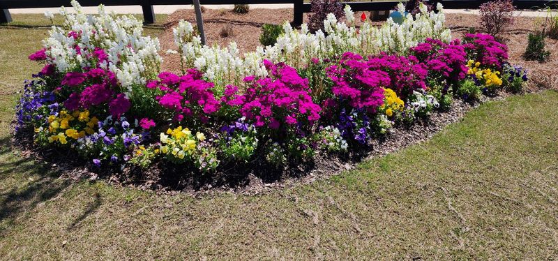 Commercial Landscaping