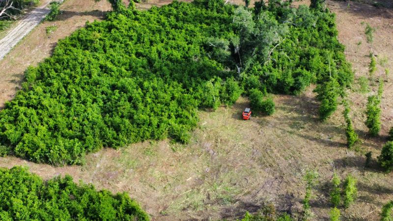 Land Clearing