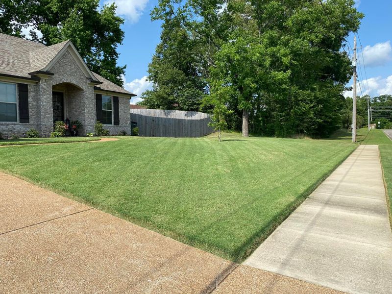 Lawn Maintenance