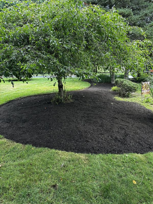 Landscape Design