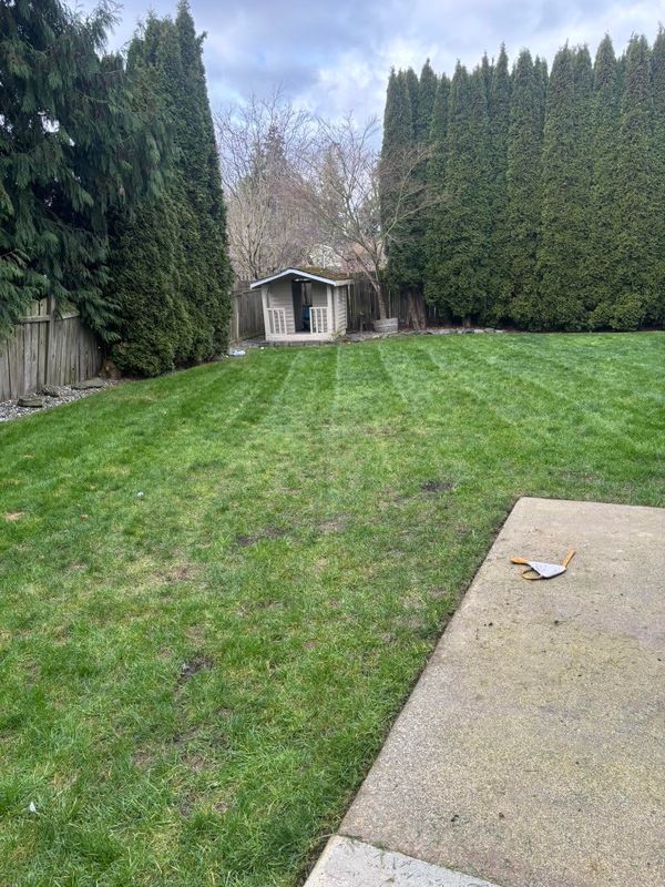 Green Spaces