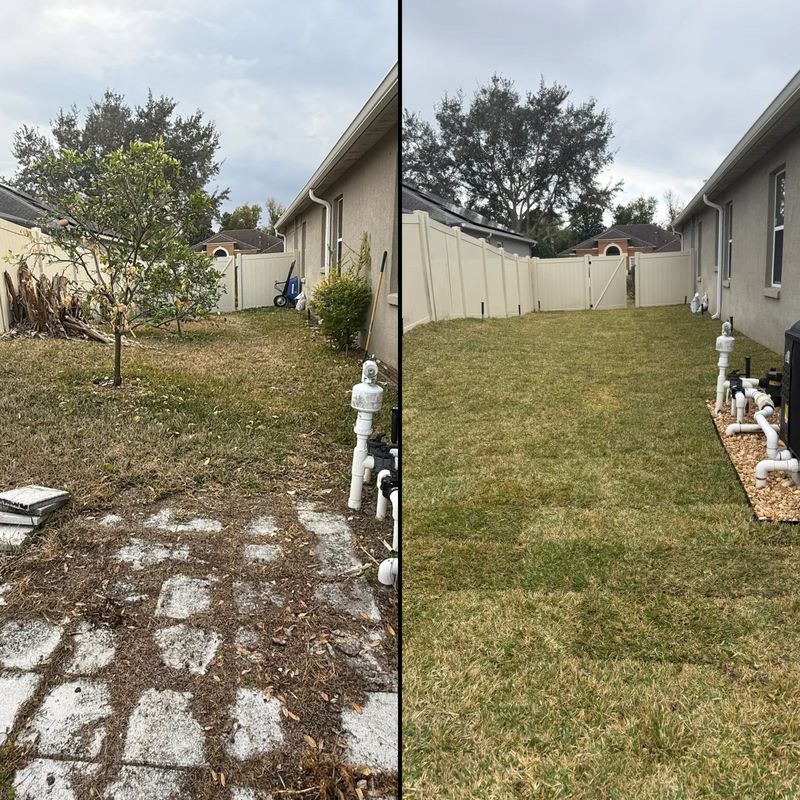 Land Clearing