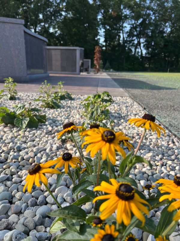Landscape Design & Construction