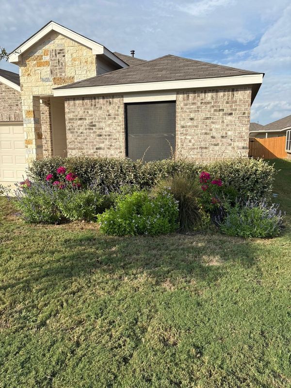 Mulch Installation