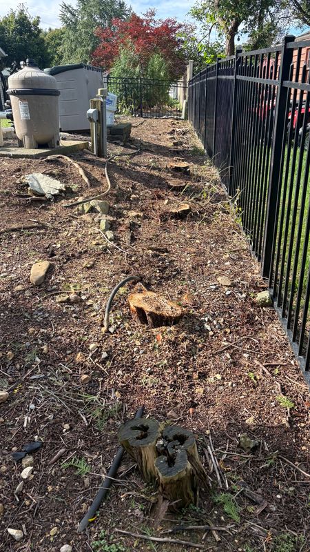 Stump Removal