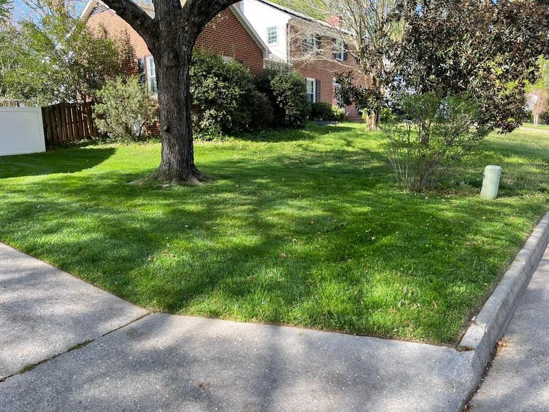 Landscaping