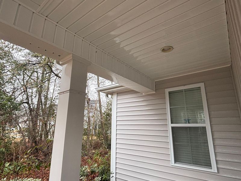 Gutter Cleaning