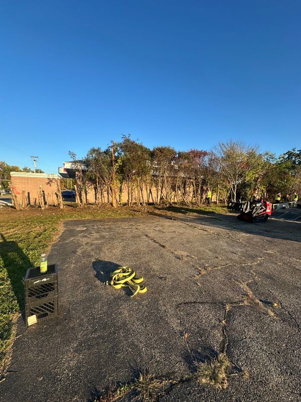 Land Clearing & Dirt Work