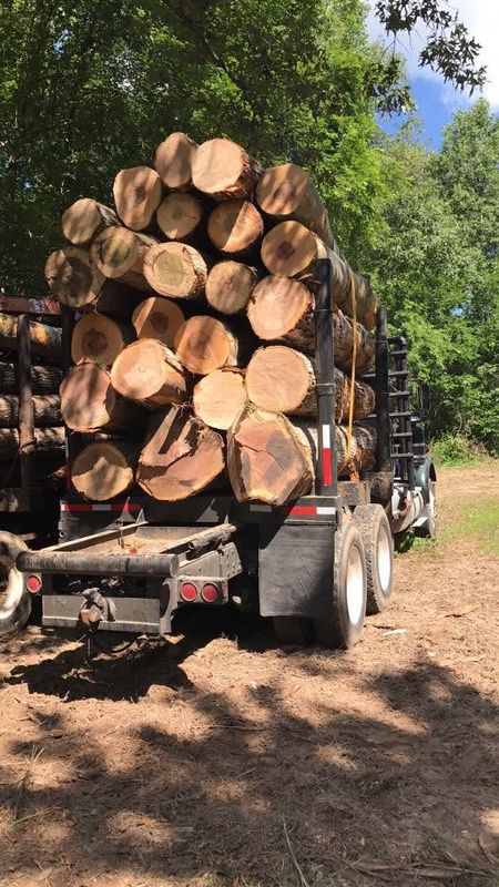 Large Acreage Clearing