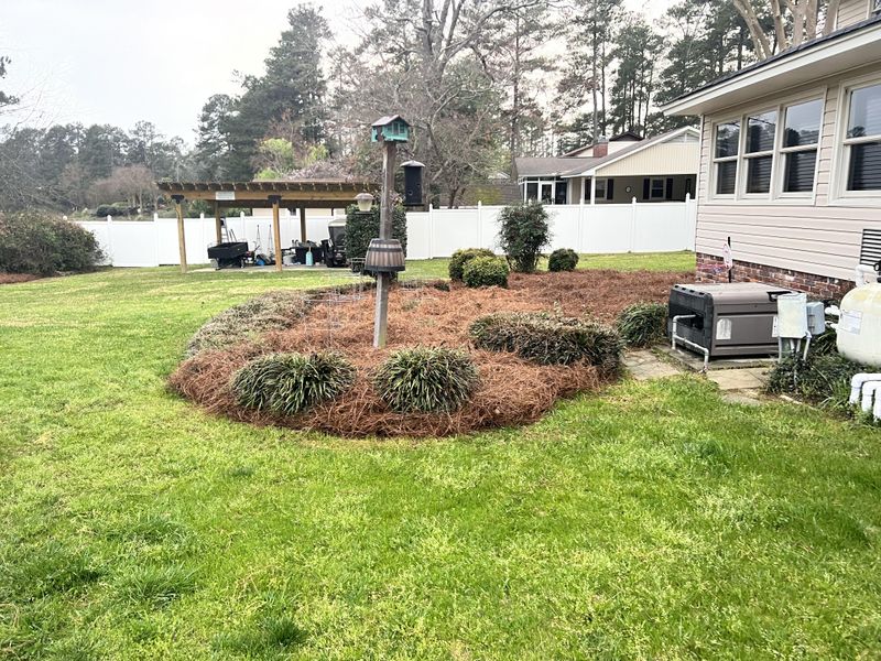 Pinestraw Installation