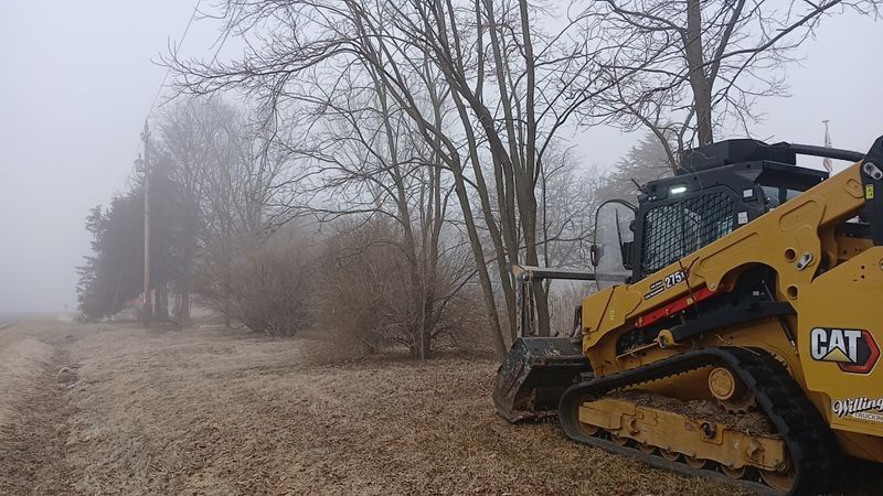 Forestry Mulching