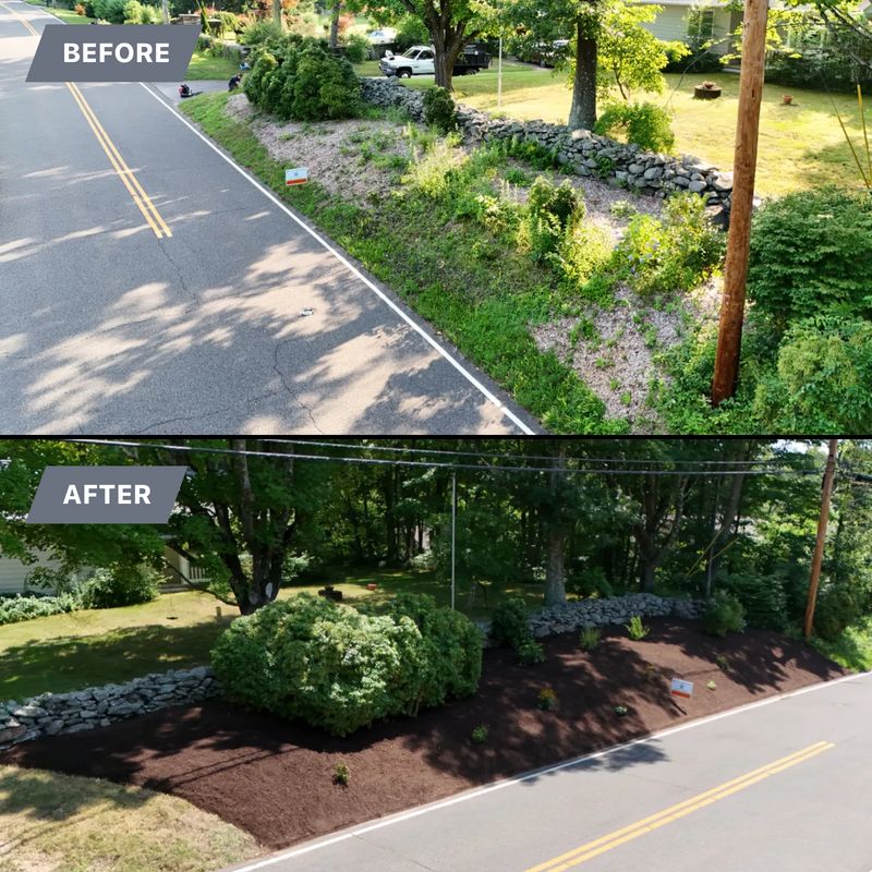 Plantings & Landscape Design
