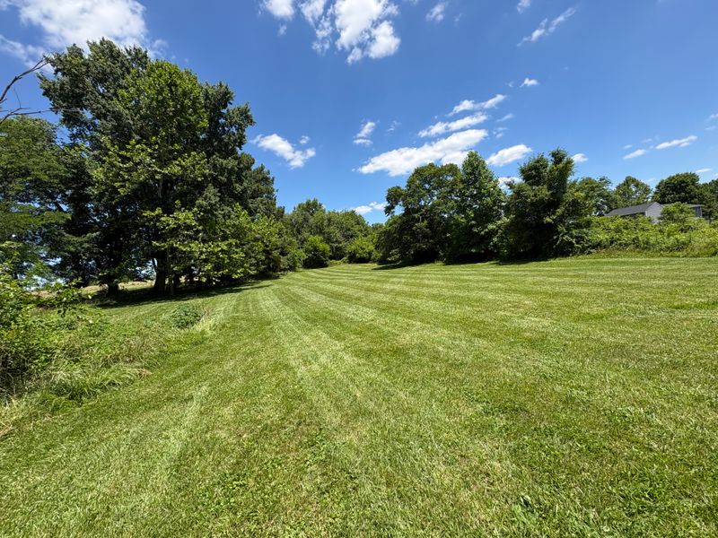 Lawn Maintenance
