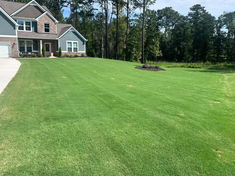 Sod Install