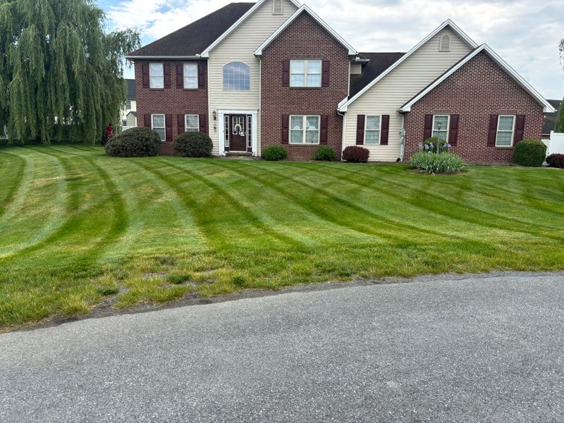 Lawn Mowing
