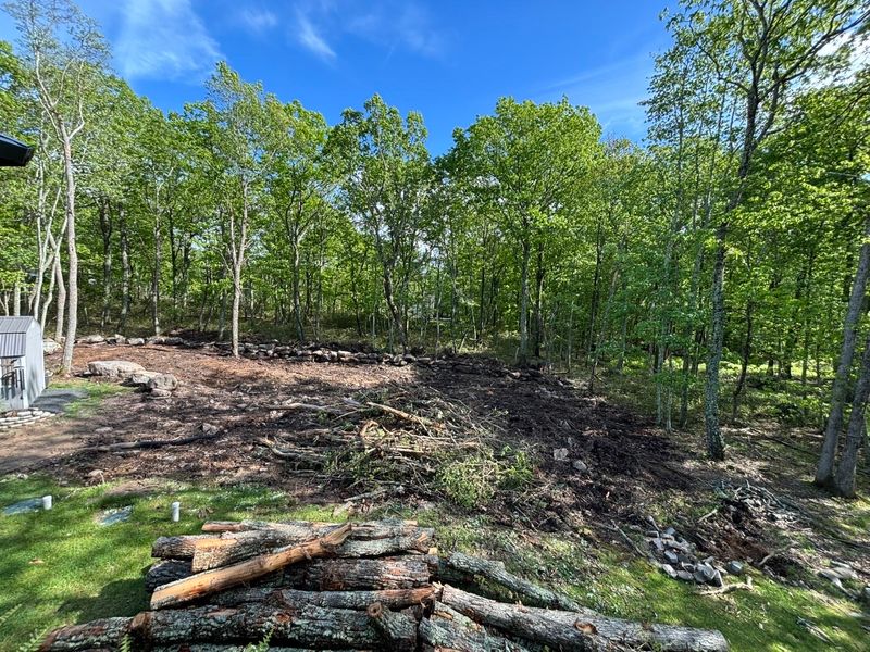 Residential Land Clearing