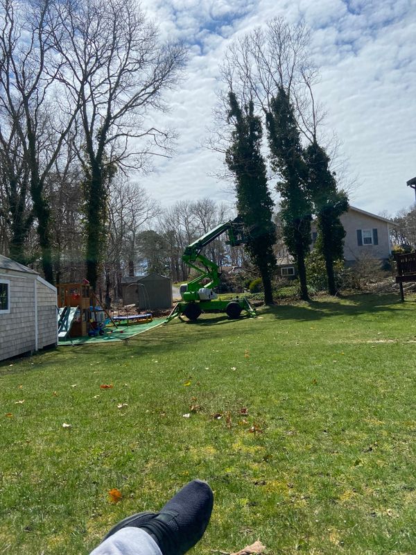 Mowing gallery