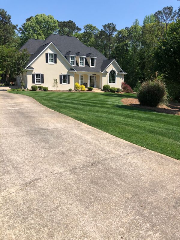 Lawn Care & Maintenance