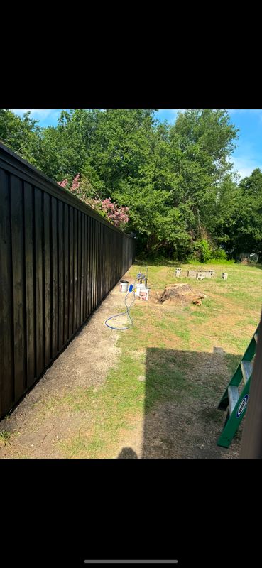 Staining
