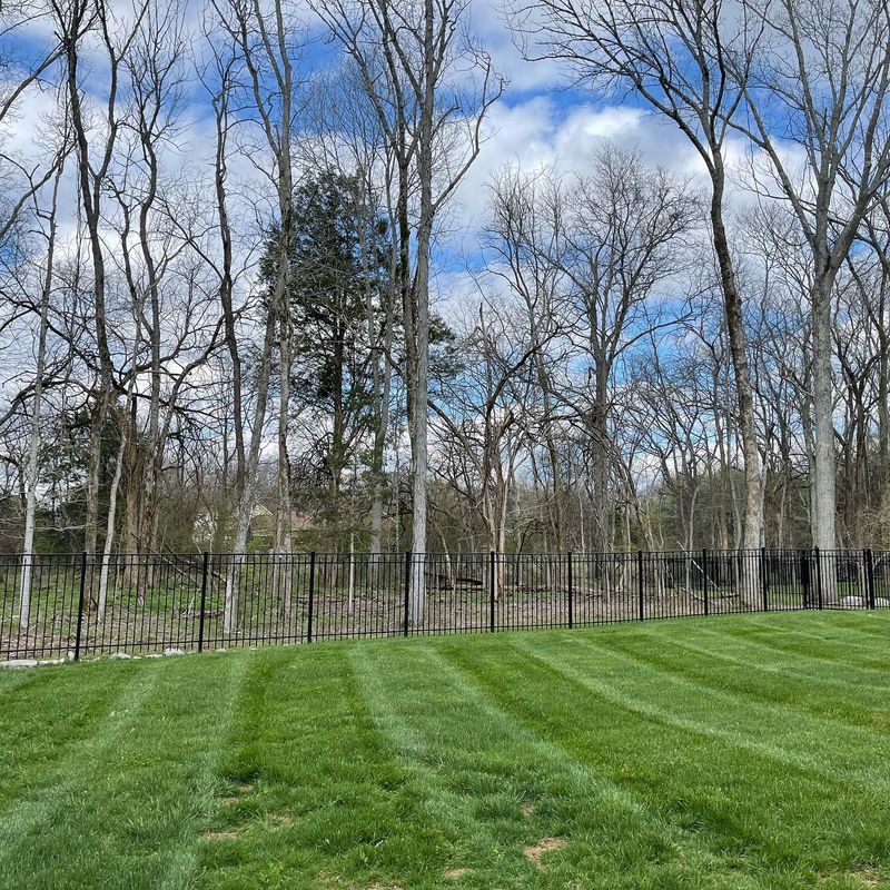 Mowing