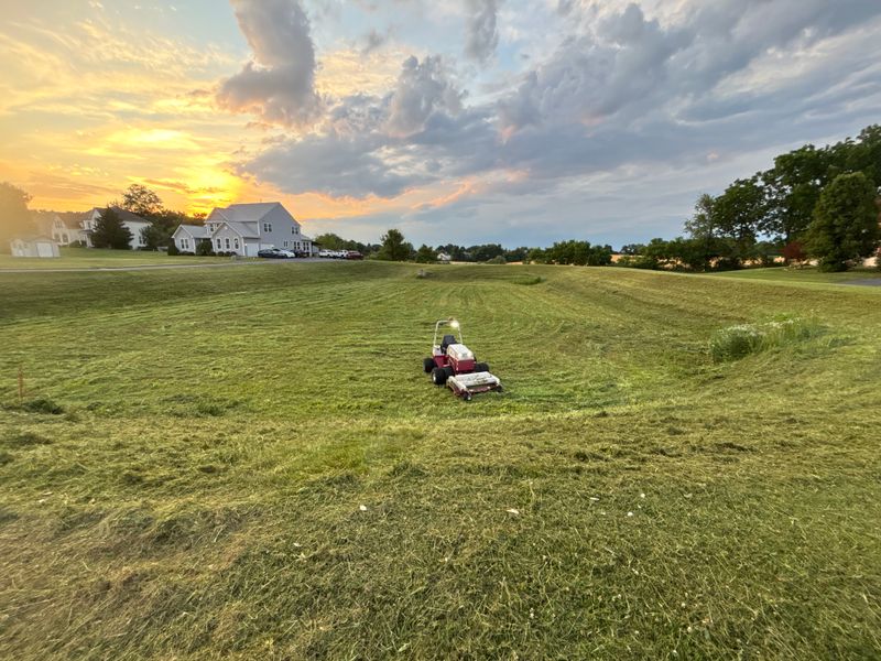 Lawn Mowing