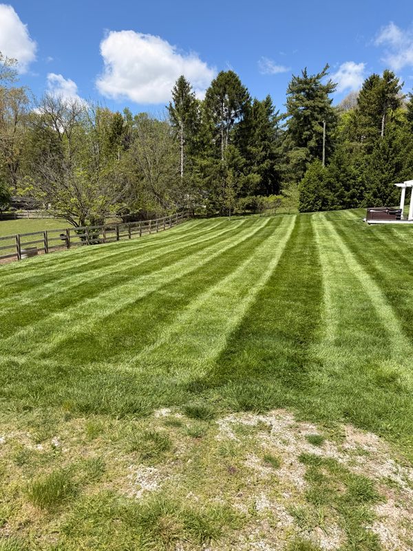 Lawn Care and Maintenance