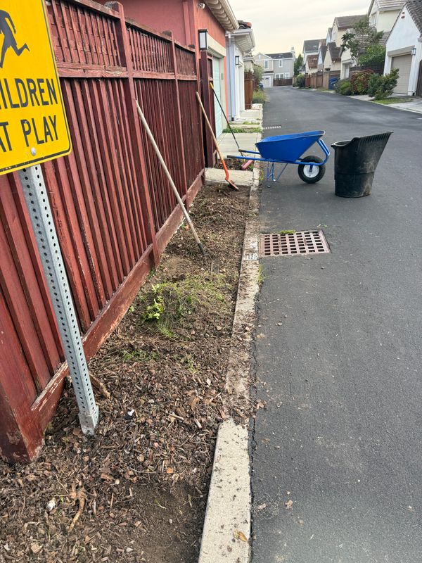 Landscaping