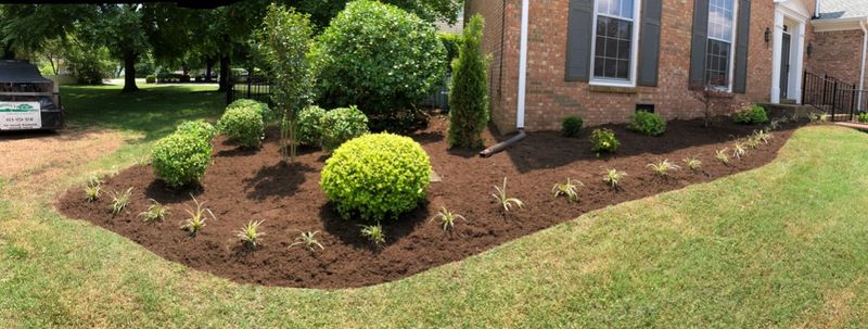 Mulch Installation
