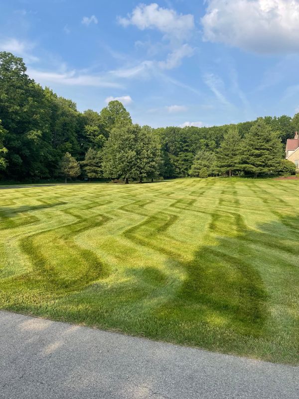 Lawn Maintenance