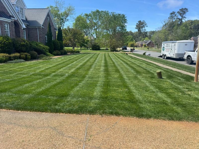 Lawn Mowing