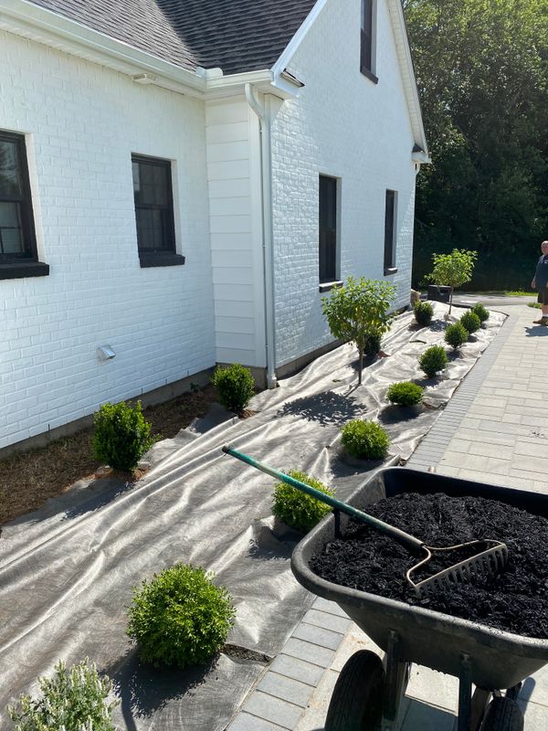 Plant & Shrub Installations