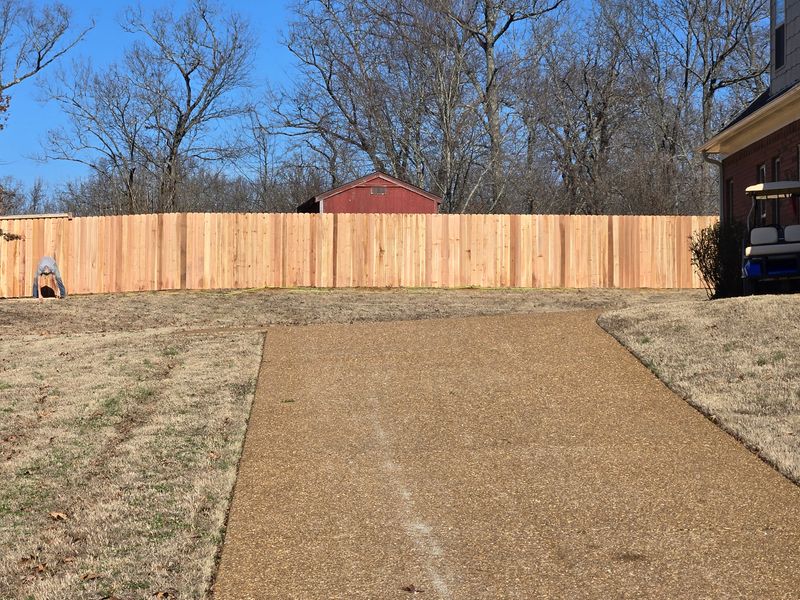Fence Installation